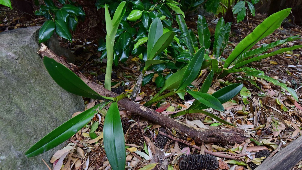 Photo of Outdoor in Currarong