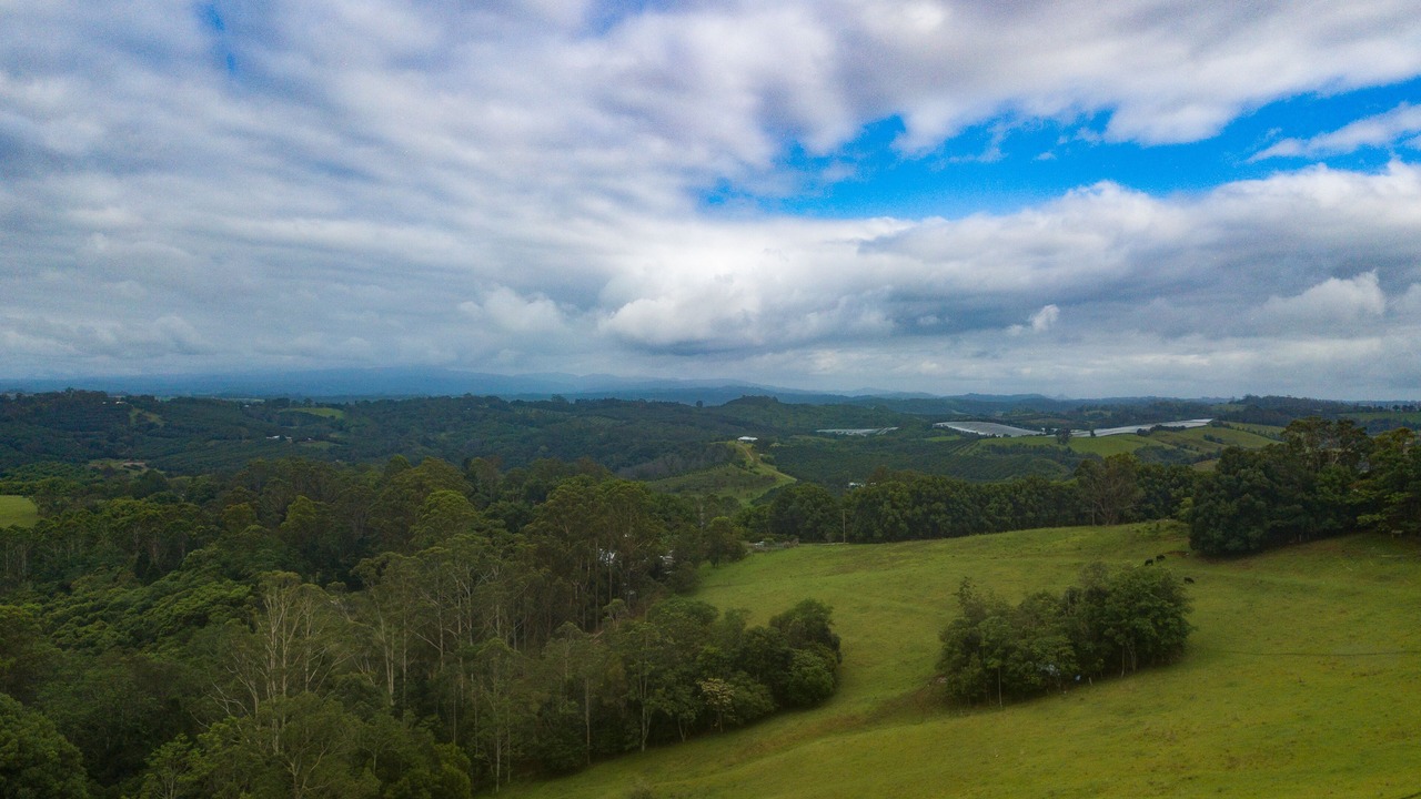 Photo of Others in Fernleigh