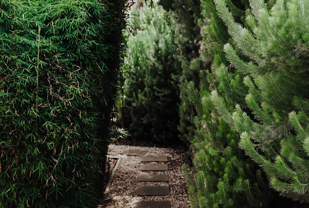 Photo of Outdoor in Silverleaves