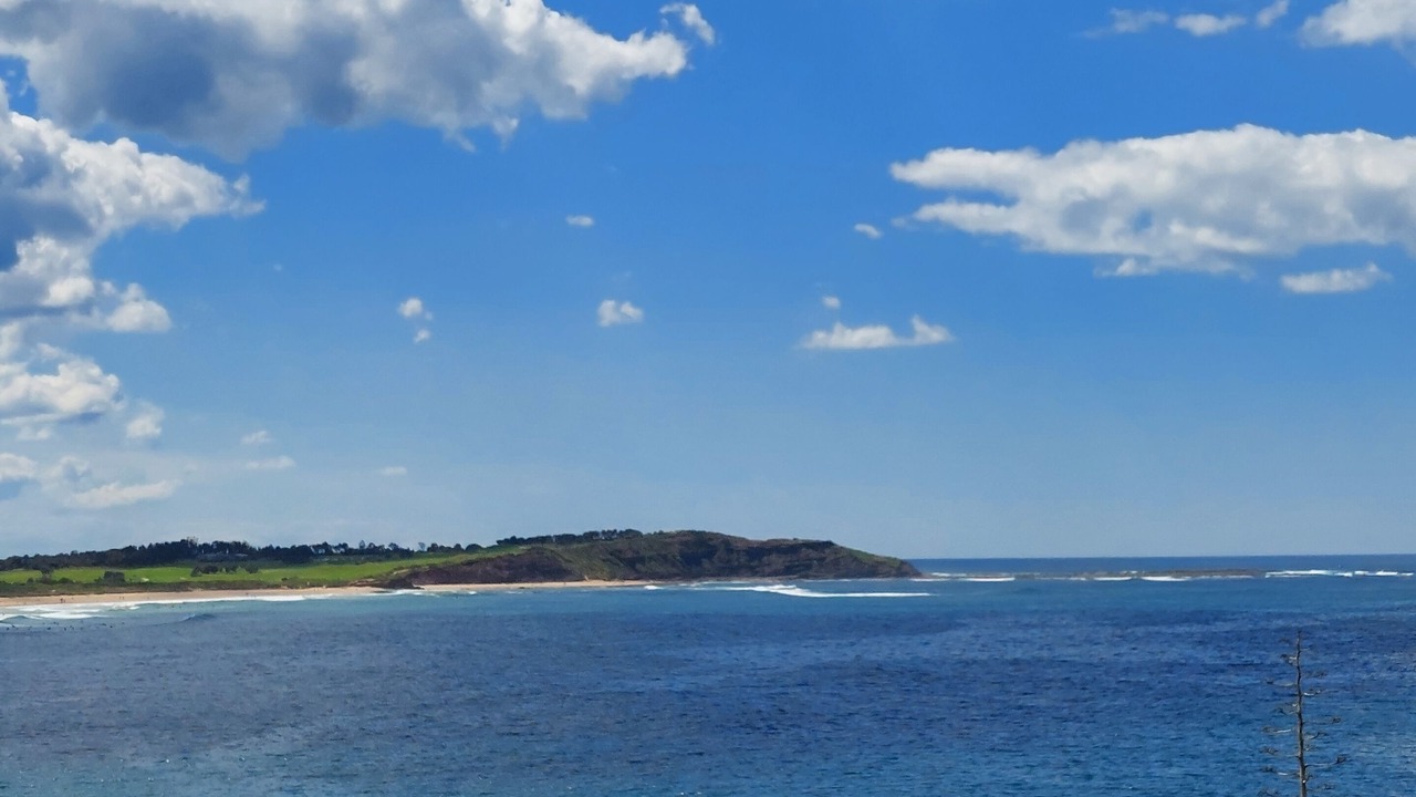Photo of Others in Dee Why