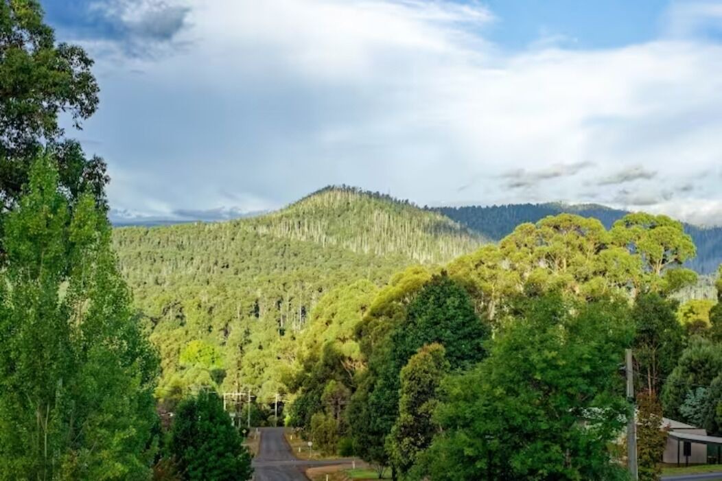 Photo of Outdoor in Marysville