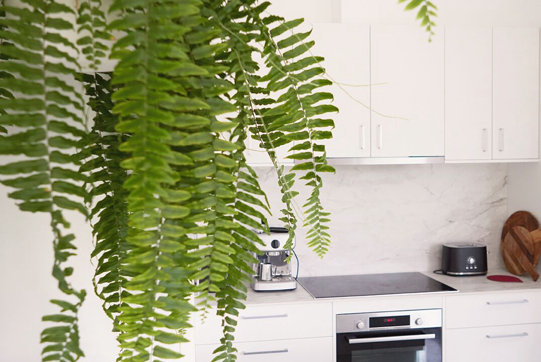 Photo of Kitchen in Maldon