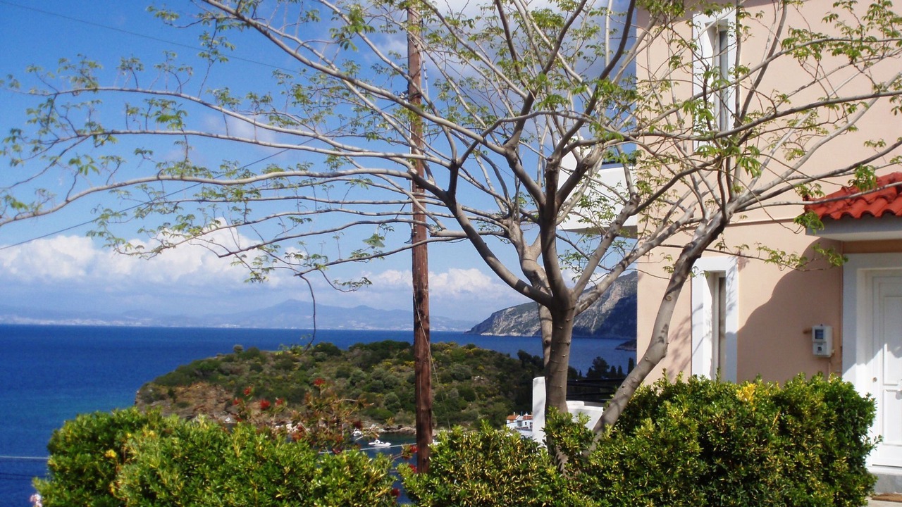 Photo of Outdoor in Samos Town