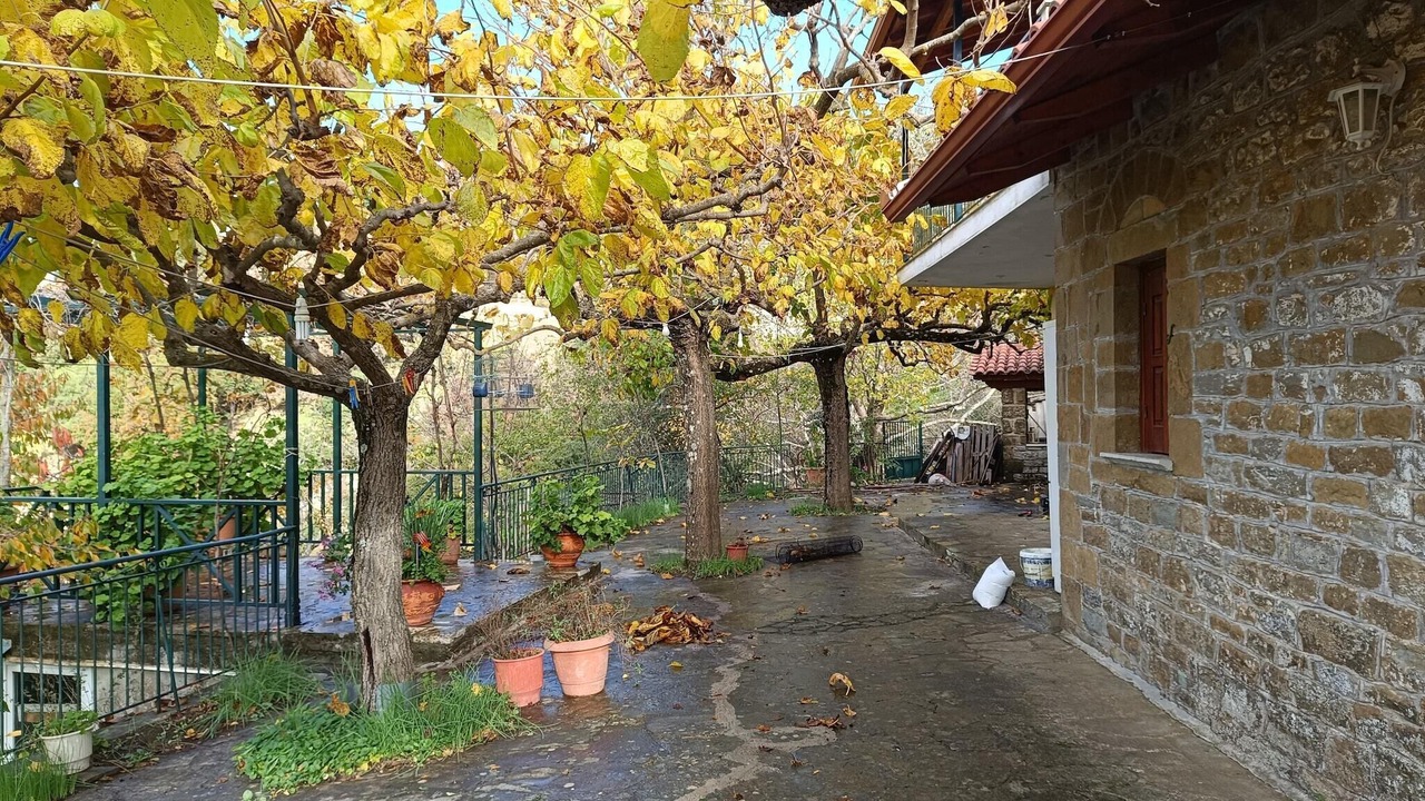 Photo of Outdoor in Kalavrouza