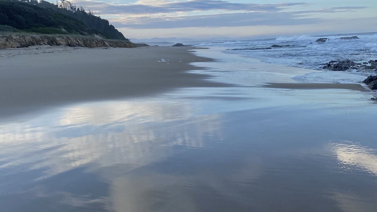 Photo of Others in Nambucca Heads