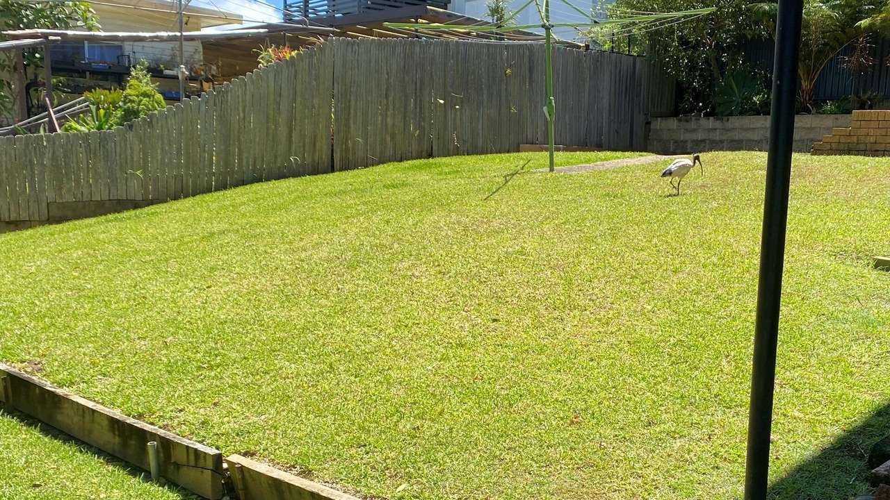 Photo of Outdoor in Nambucca Heads