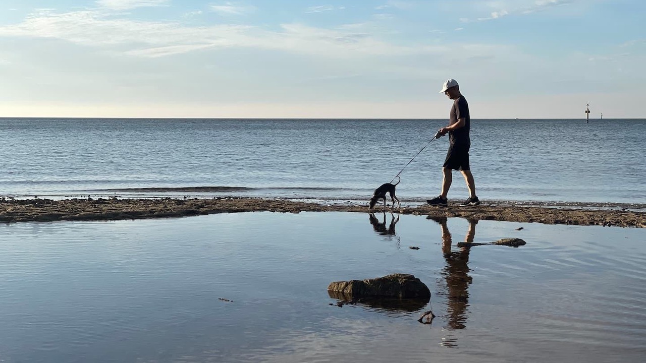 Photo of Others in Frankston South