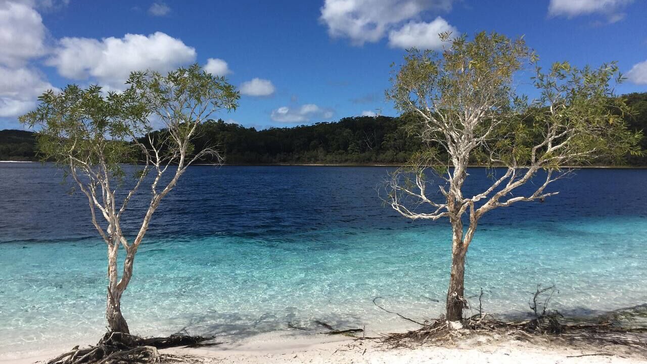 Photo of Others in Kingfisher Bay