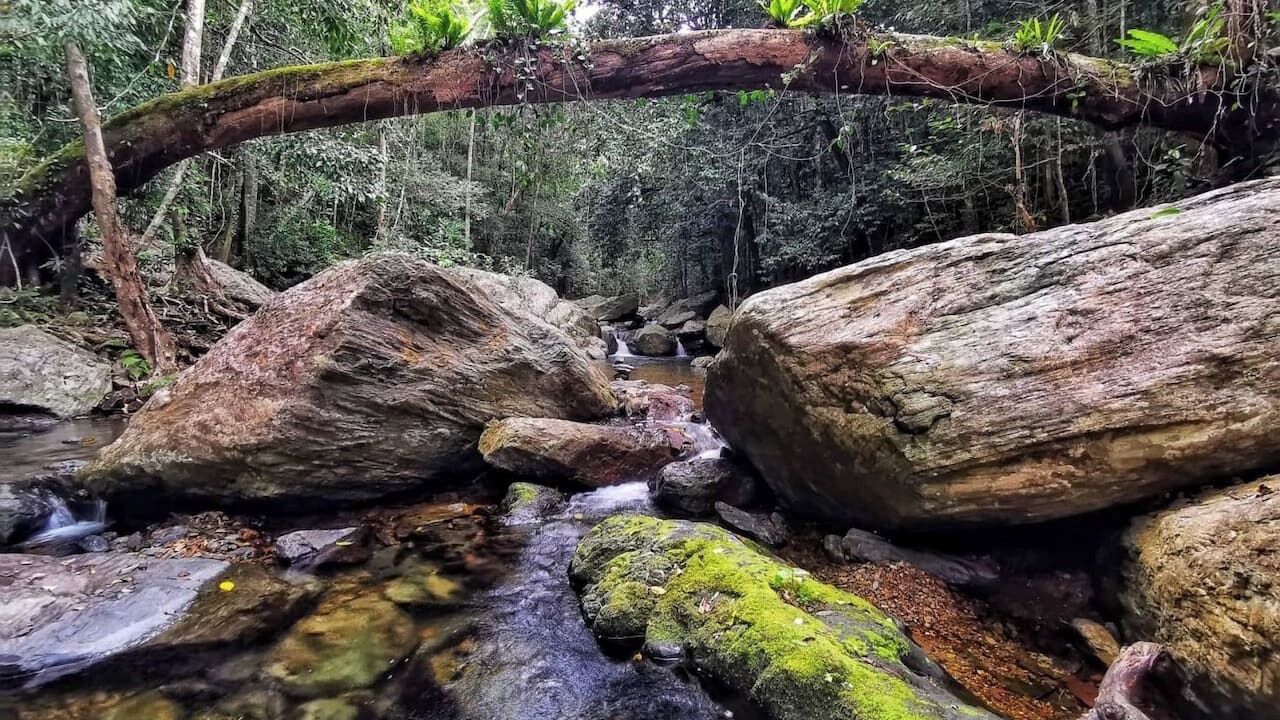 Photo of Outdoor in Kamerunga