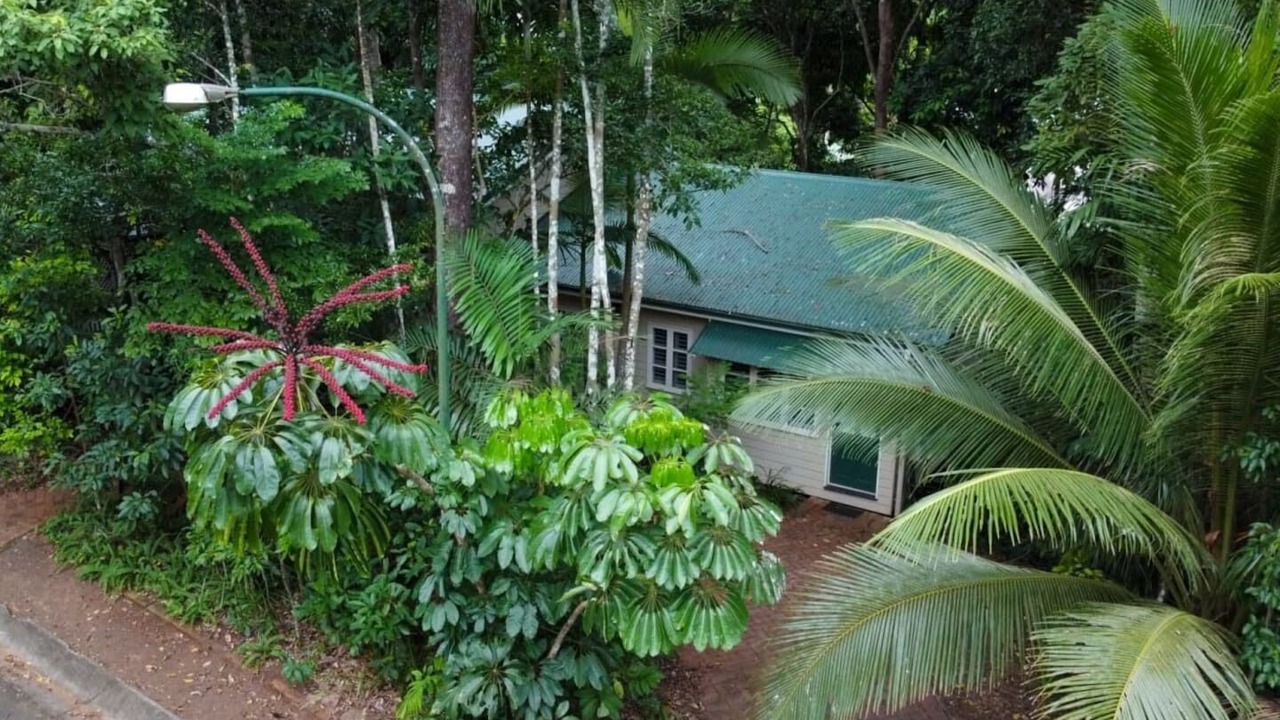 Photo of Outdoor in Kamerunga