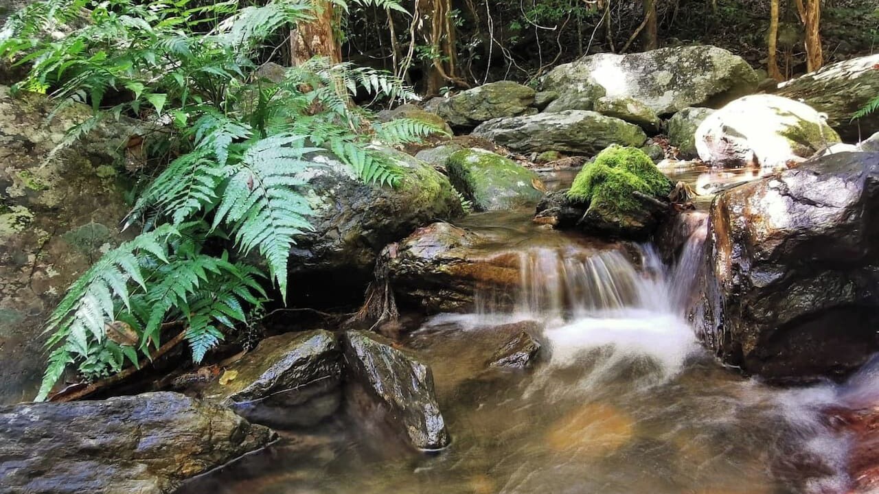 Photo of Outdoor in Kamerunga