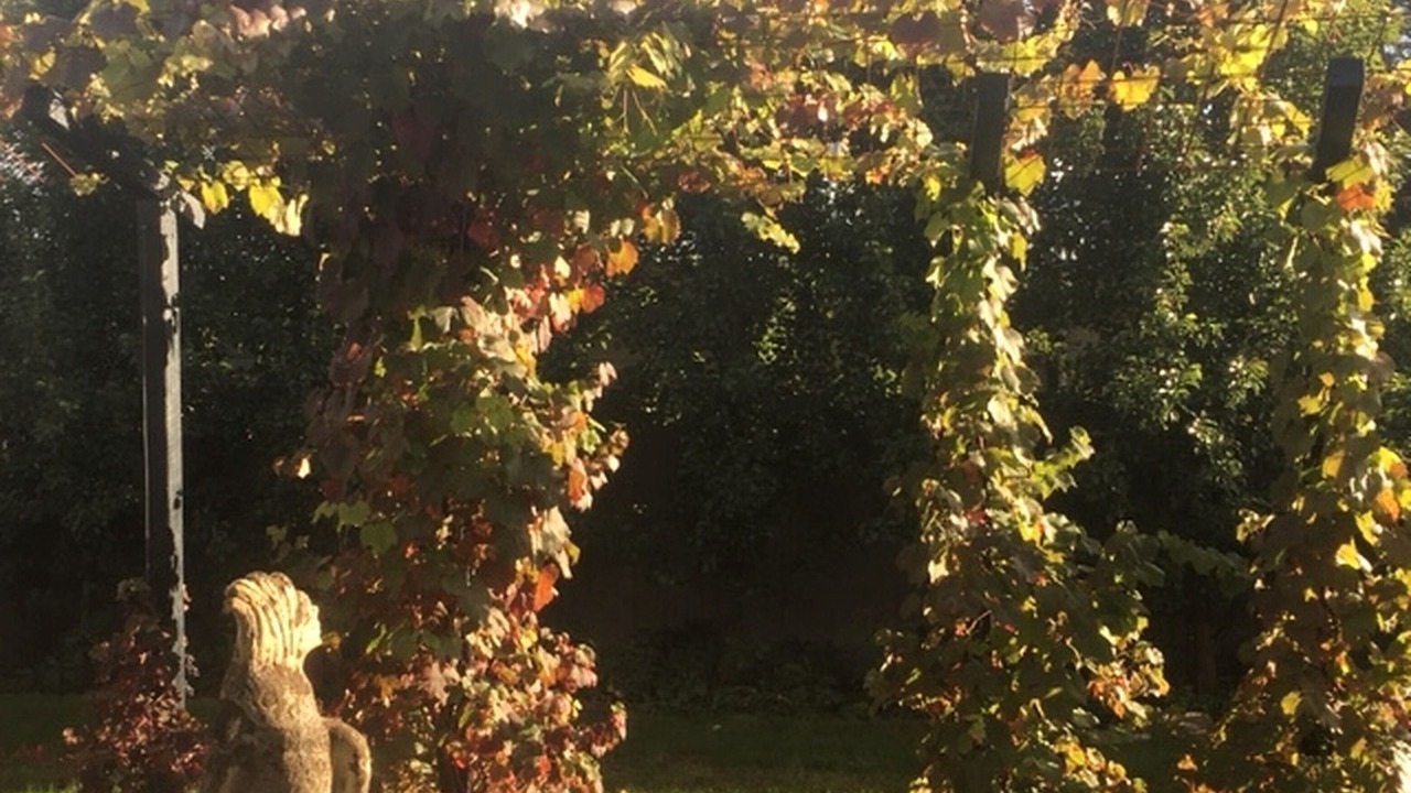 Photo of Others in Trentham