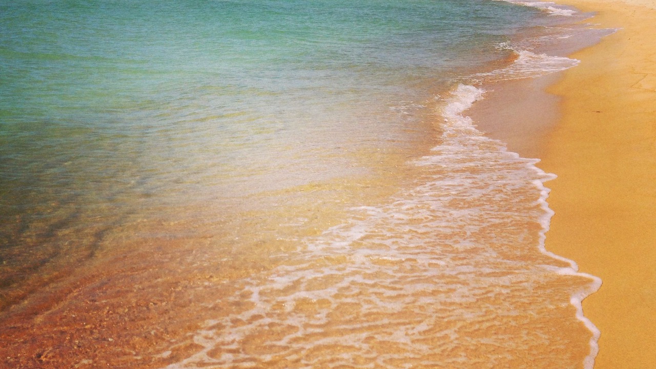Photo of Others in Safety Beach