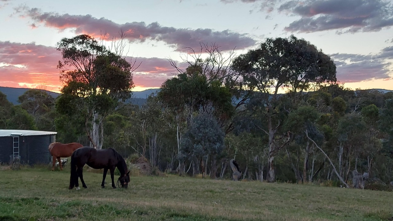 Photo of Outdoor in Crackenback