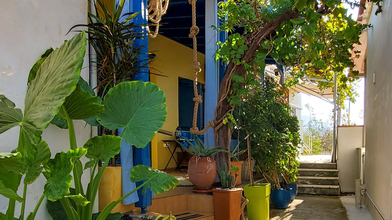 Photo of Outdoor in Aegina Town