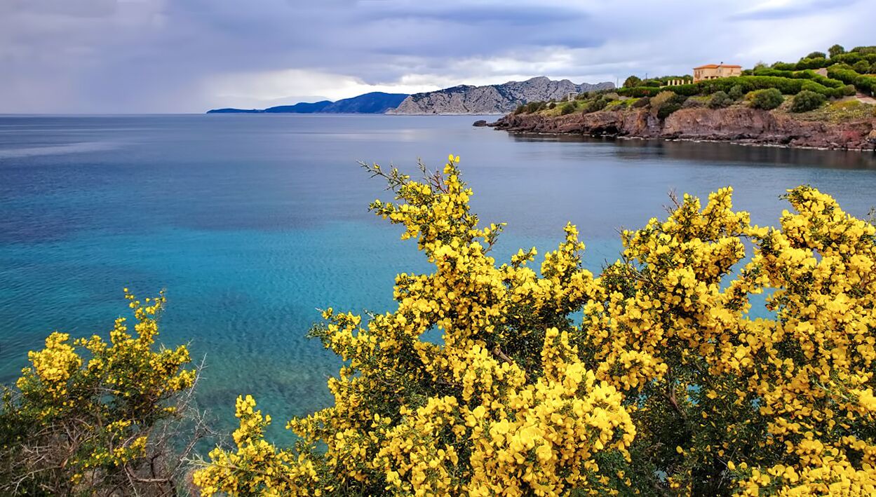 Photo of Others in Aegina Town