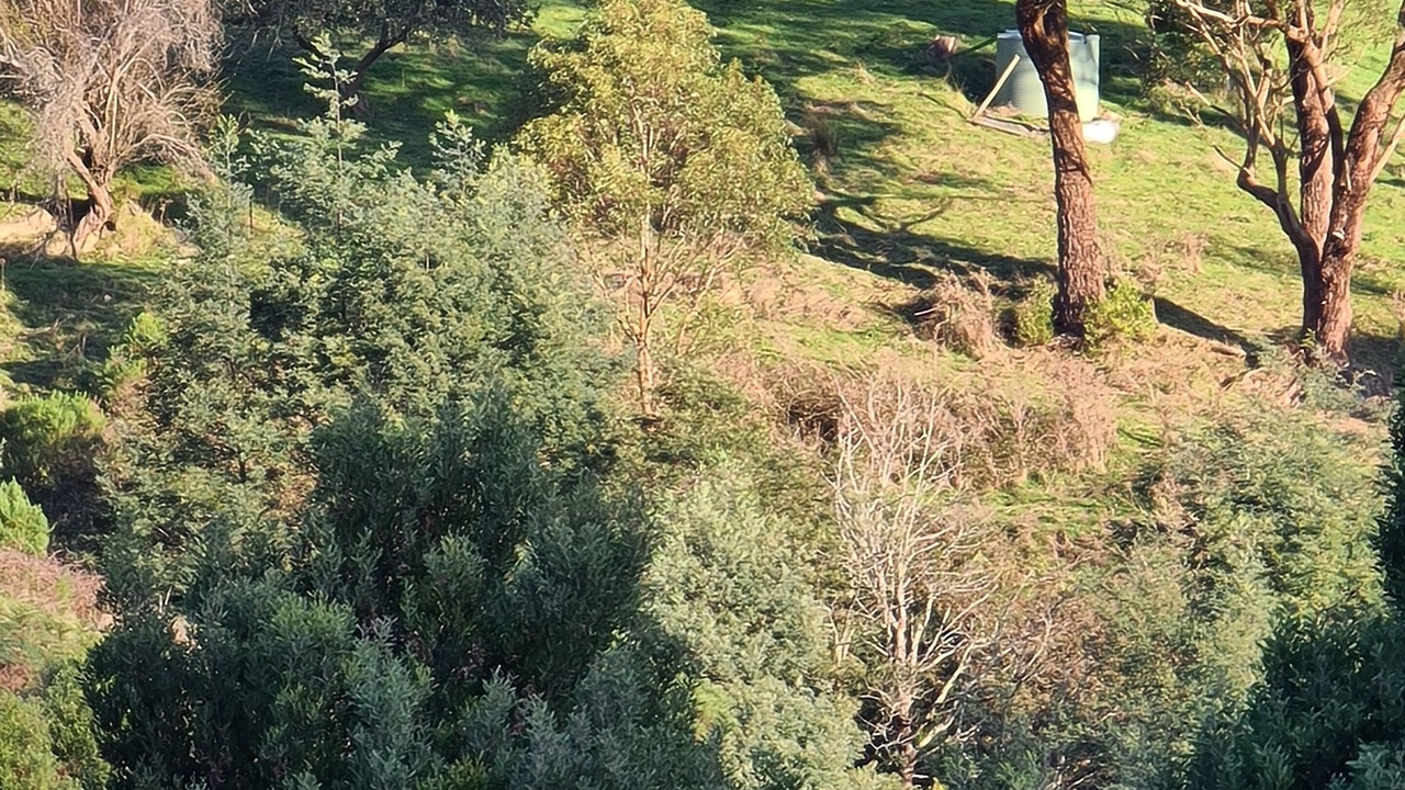 Photo of Outdoor in Woorarra West