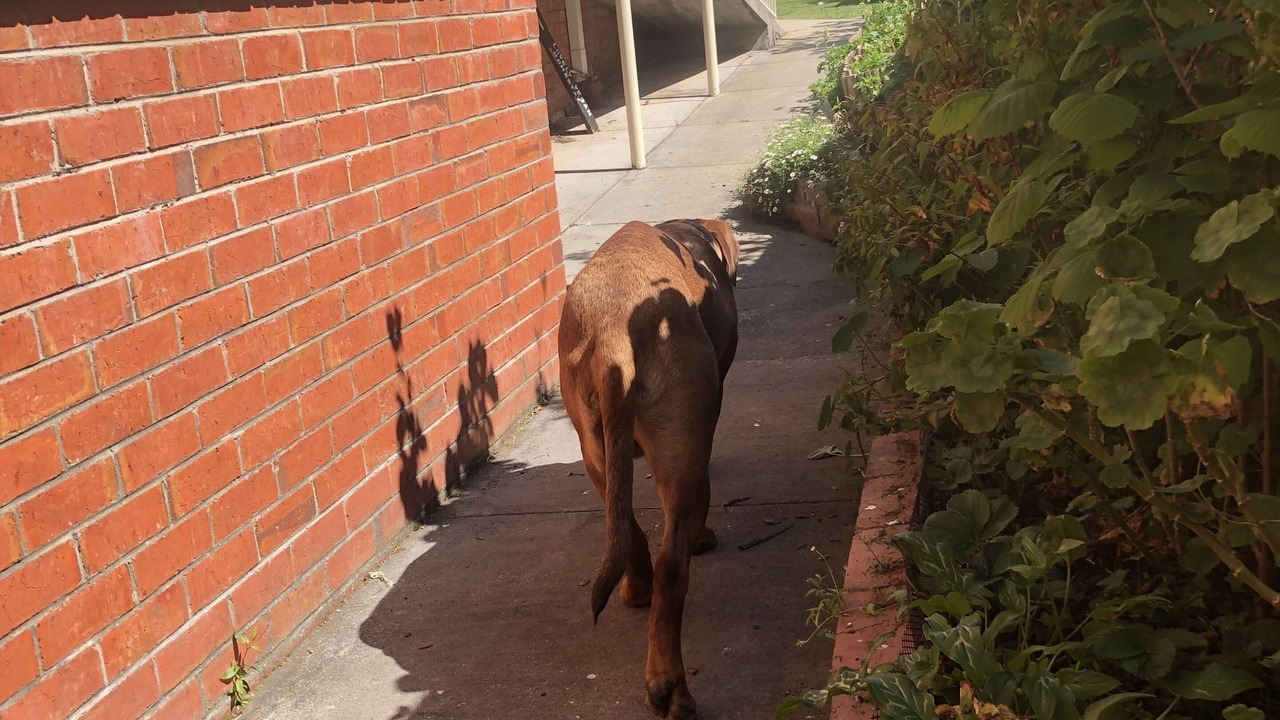 Photo of Outdoor in Newstead