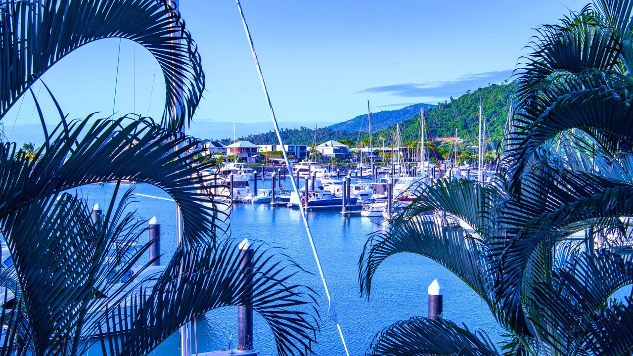 Photo of Others in Airlie Beach
