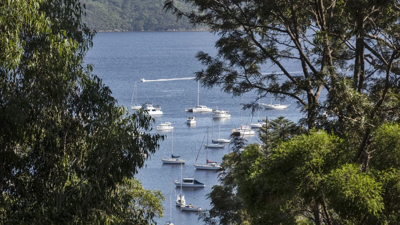 Photo of Others in Avalon Beach