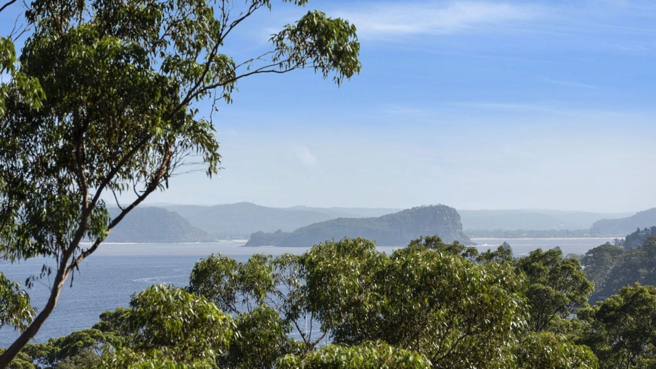 Photo of Others in Avalon Beach