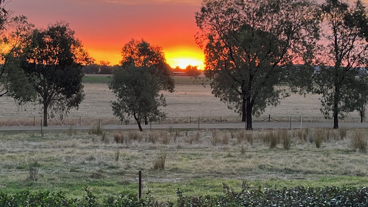 Photo of Outdoor in Canowindra