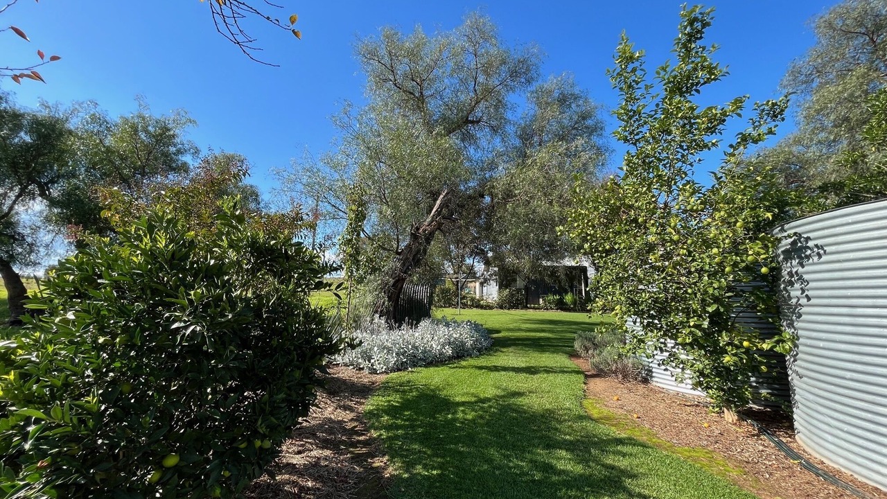 Photo of Outdoor in Canowindra