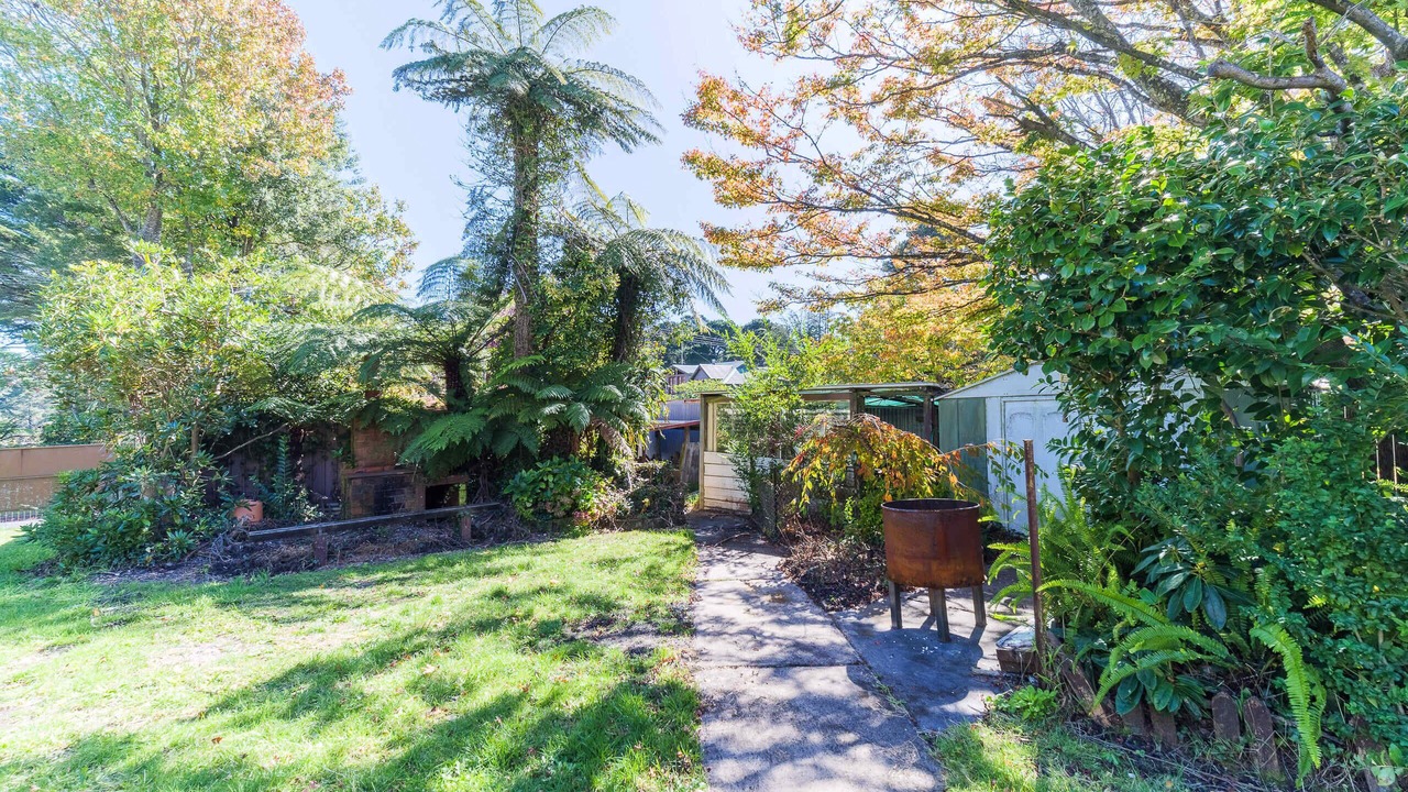 Photo of Outdoor in Katoomba