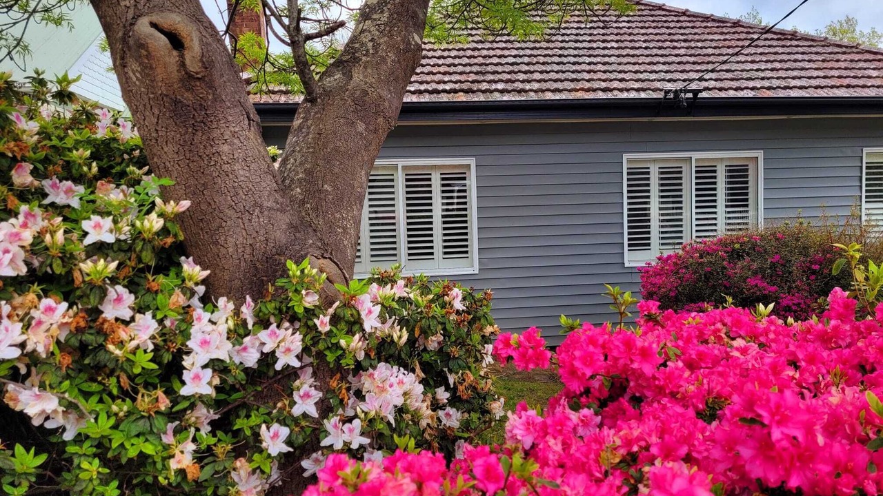 Photo of Outdoor in Katoomba