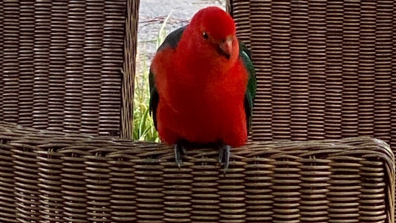 Photo of Others in Trentham