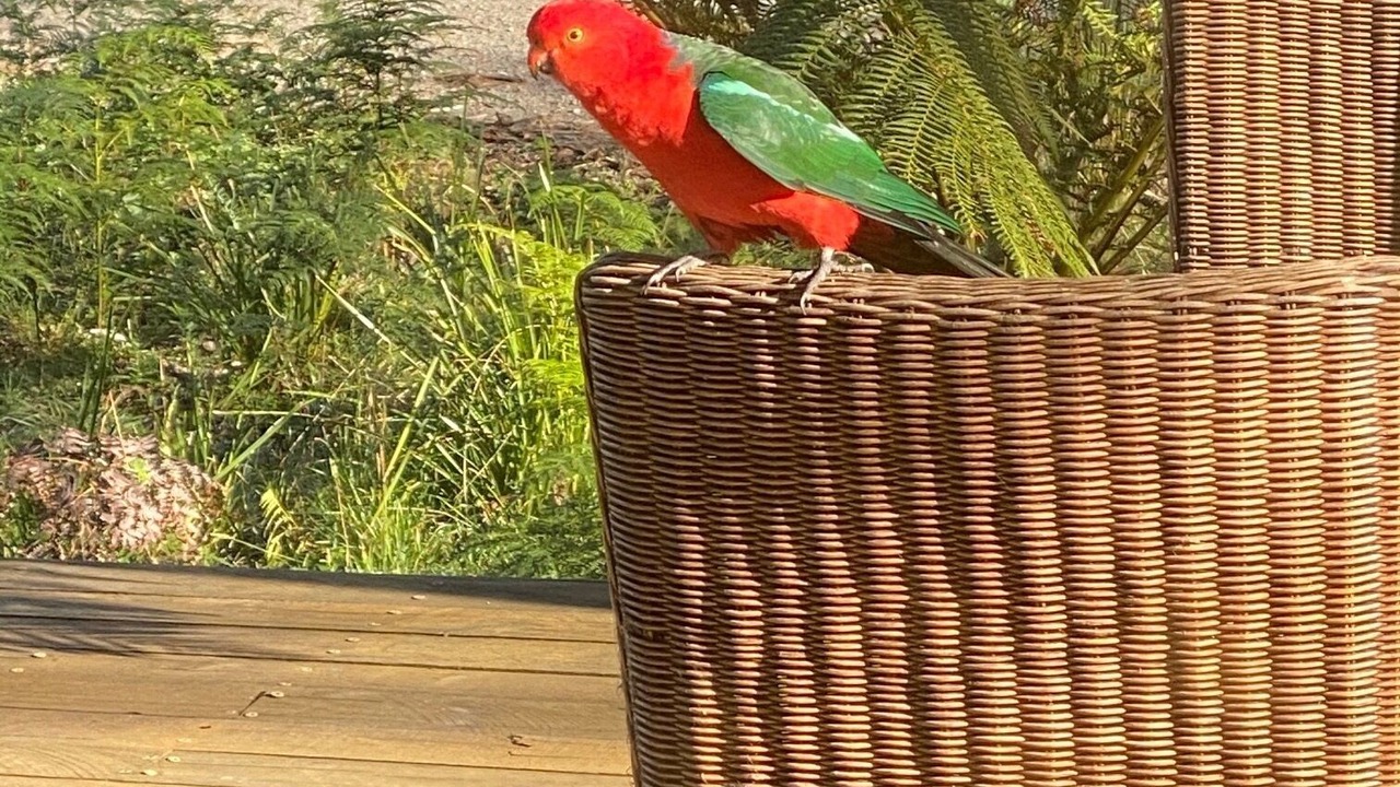 Photo of Outdoor in Trentham