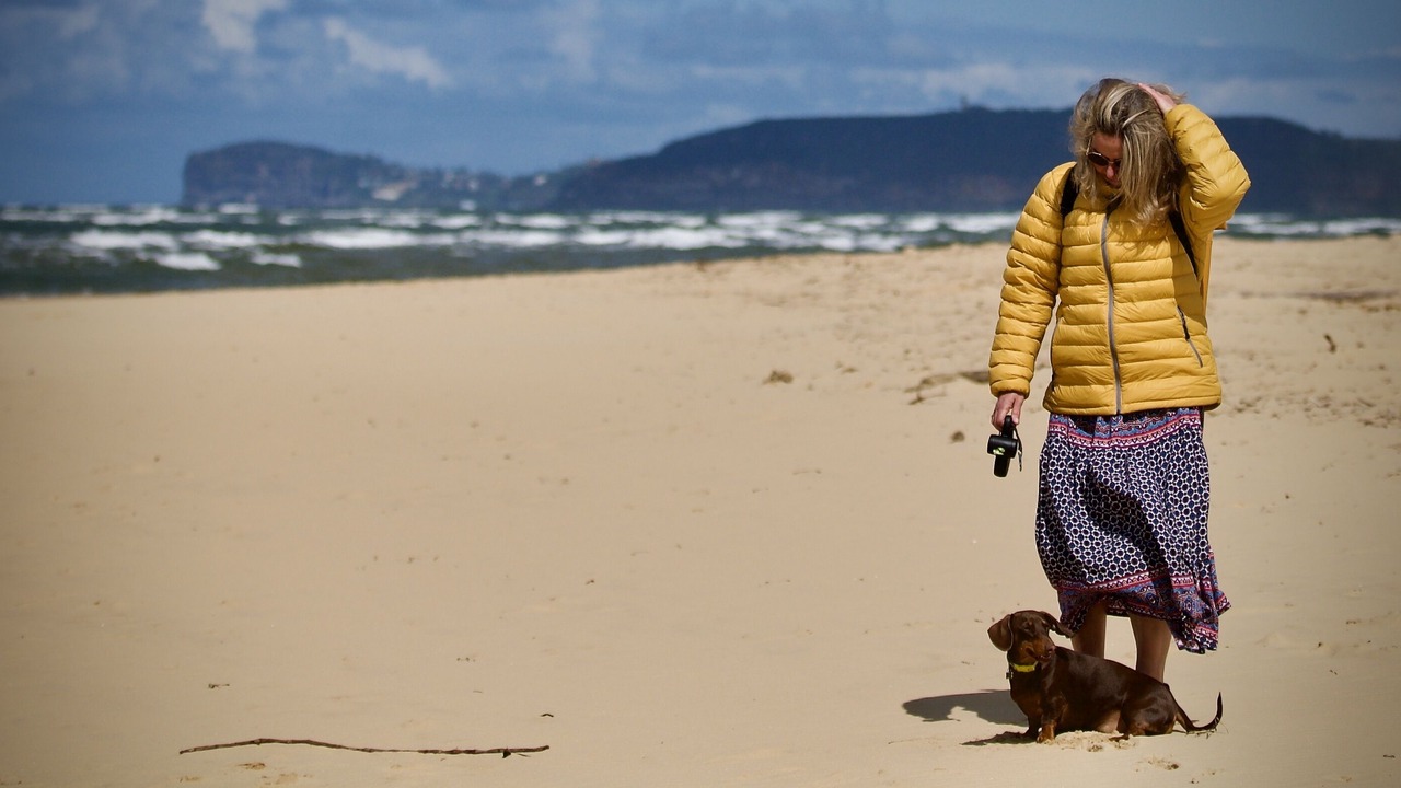 Photo of Others in Ettalong Beach
