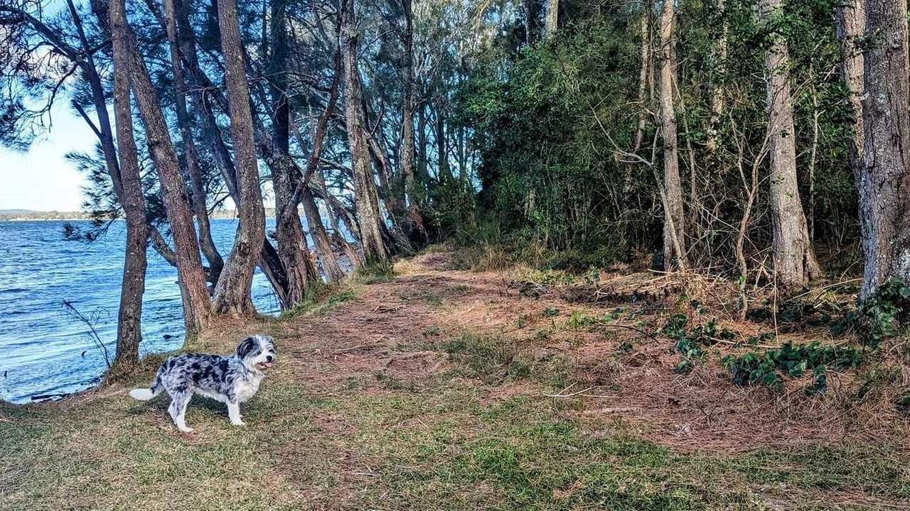 Photo of Outdoor in Wyee Point