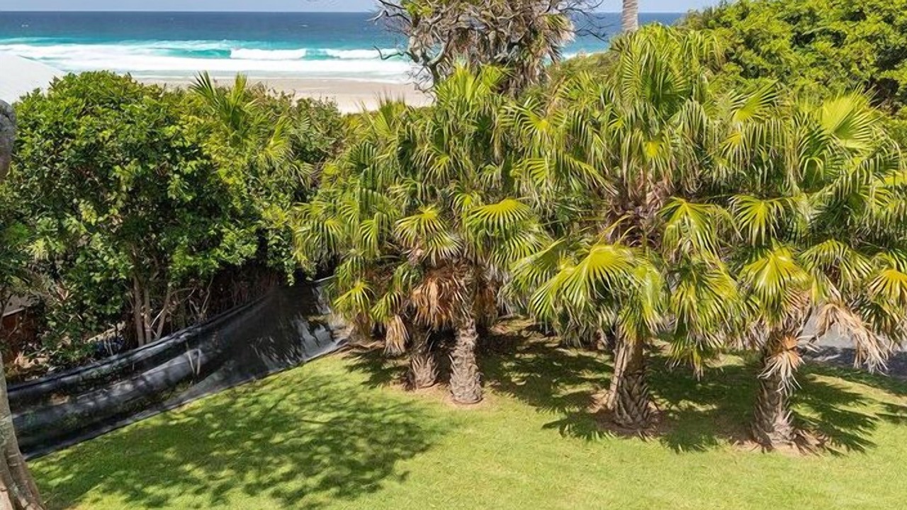 Photo of Outdoor in Blueys Beach