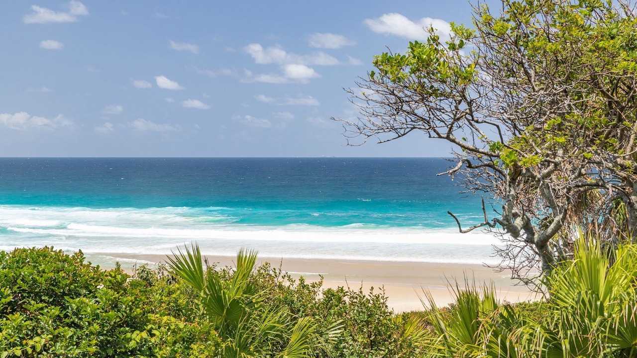 Photo of Others in Blueys Beach