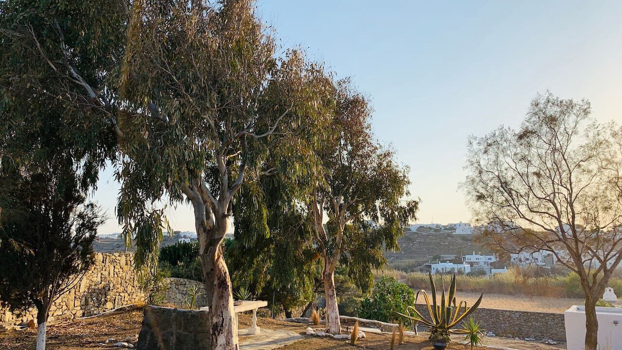 Photo of Outdoor in Mykonos Town