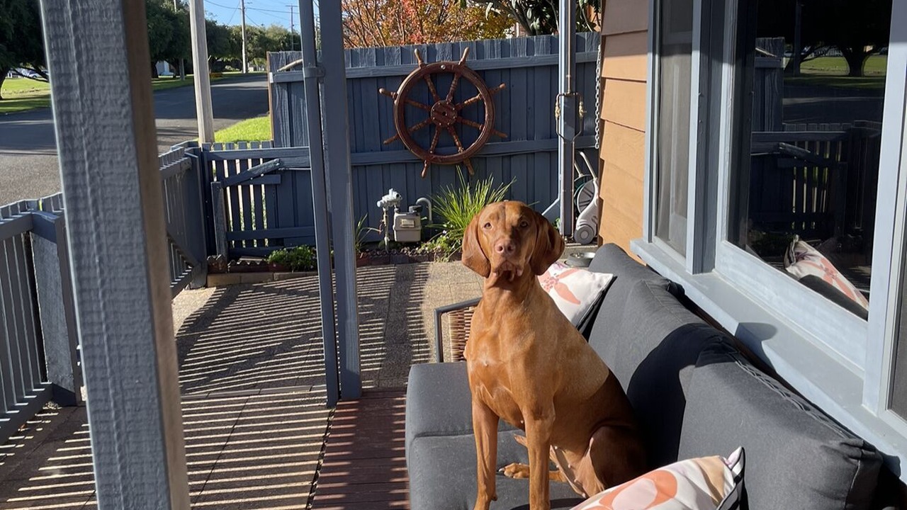 Photo of Outdoor in Queenscliff