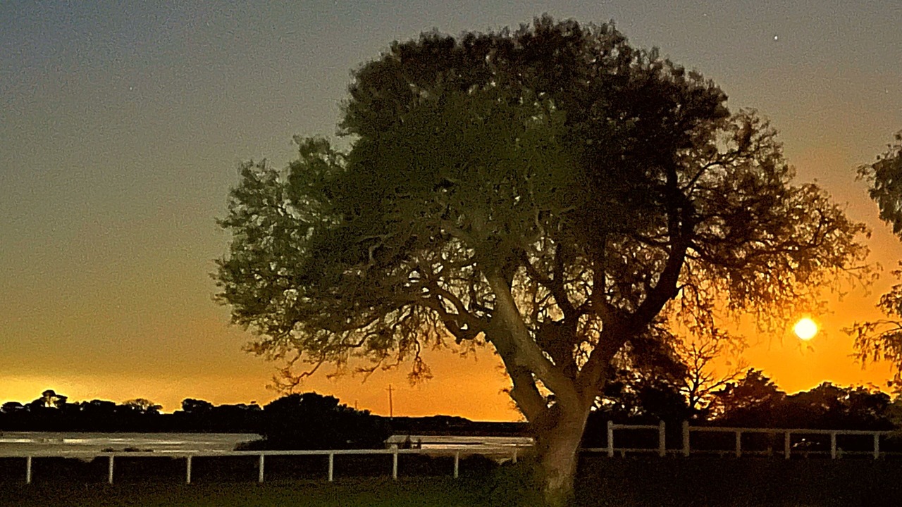 Photo of Outdoor in Queenscliff