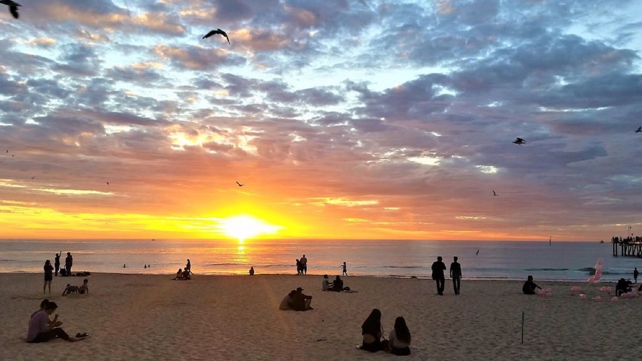 Photo of Others in Glenelg