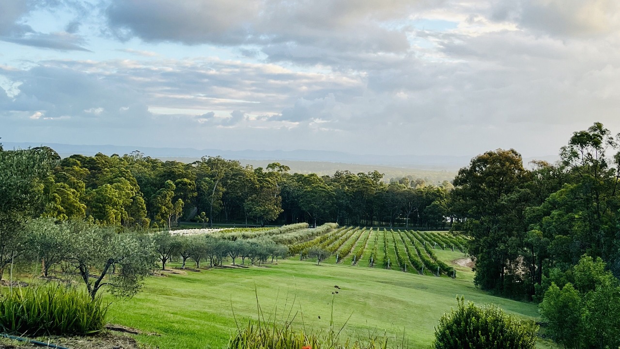 Photo of Others in Lovedale