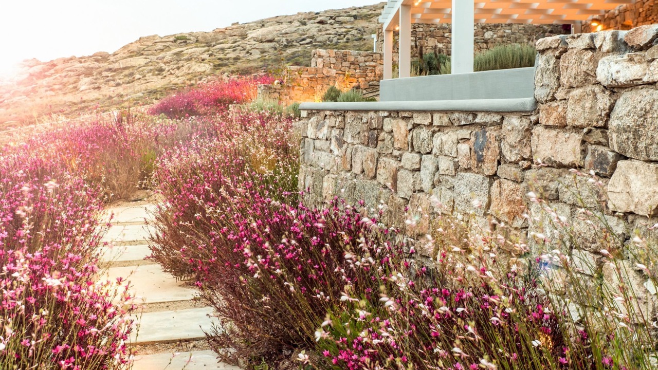 Photo of Outdoor in Elia