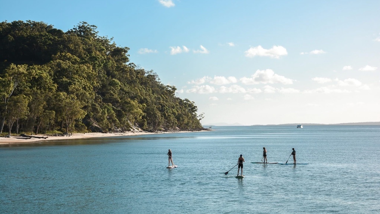 Photo of Others in Kingfisher Bay