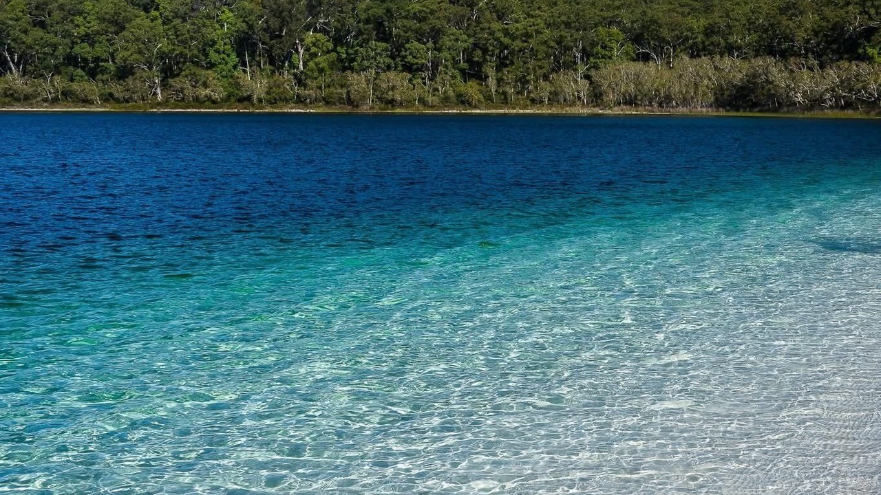 Photo of Others in Kingfisher Bay