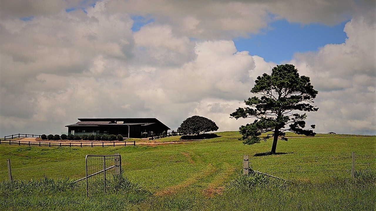 Photo of Outdoor in Fernleigh