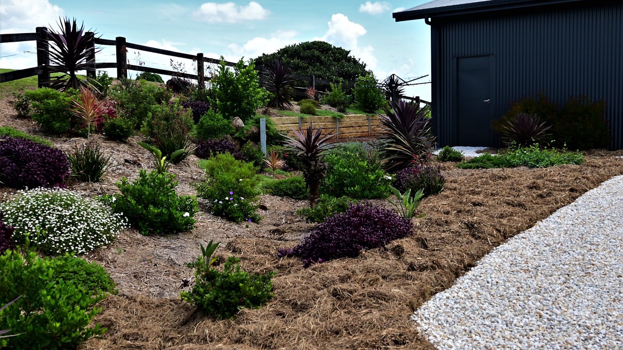 Photo of Outdoor in Fernleigh