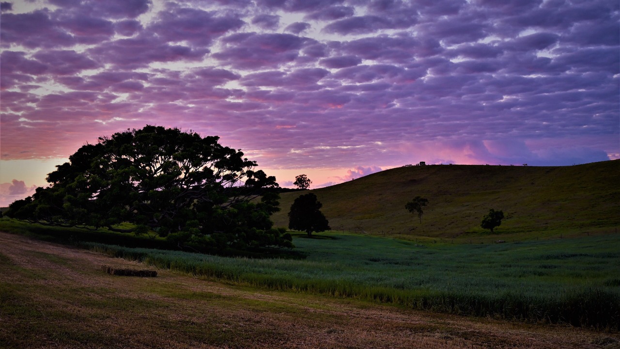 Photo of Others in Fernleigh