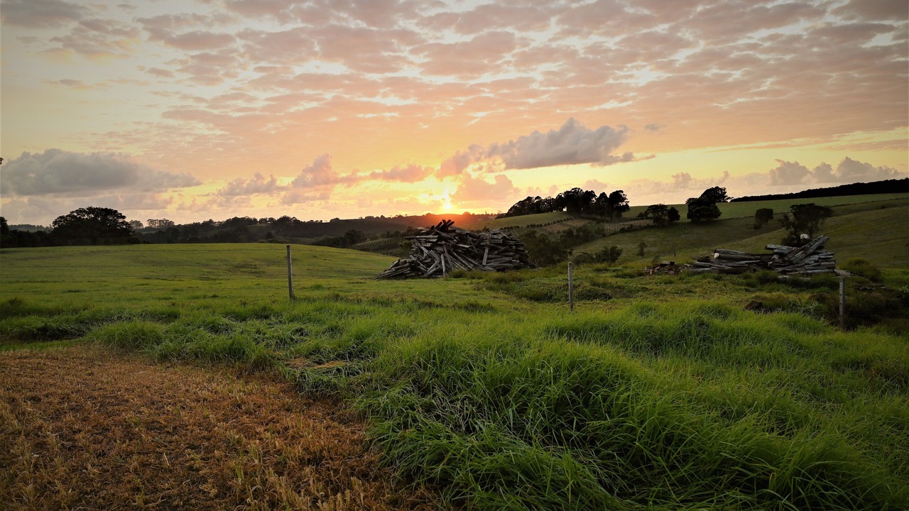 Photo of Outdoor in Fernleigh