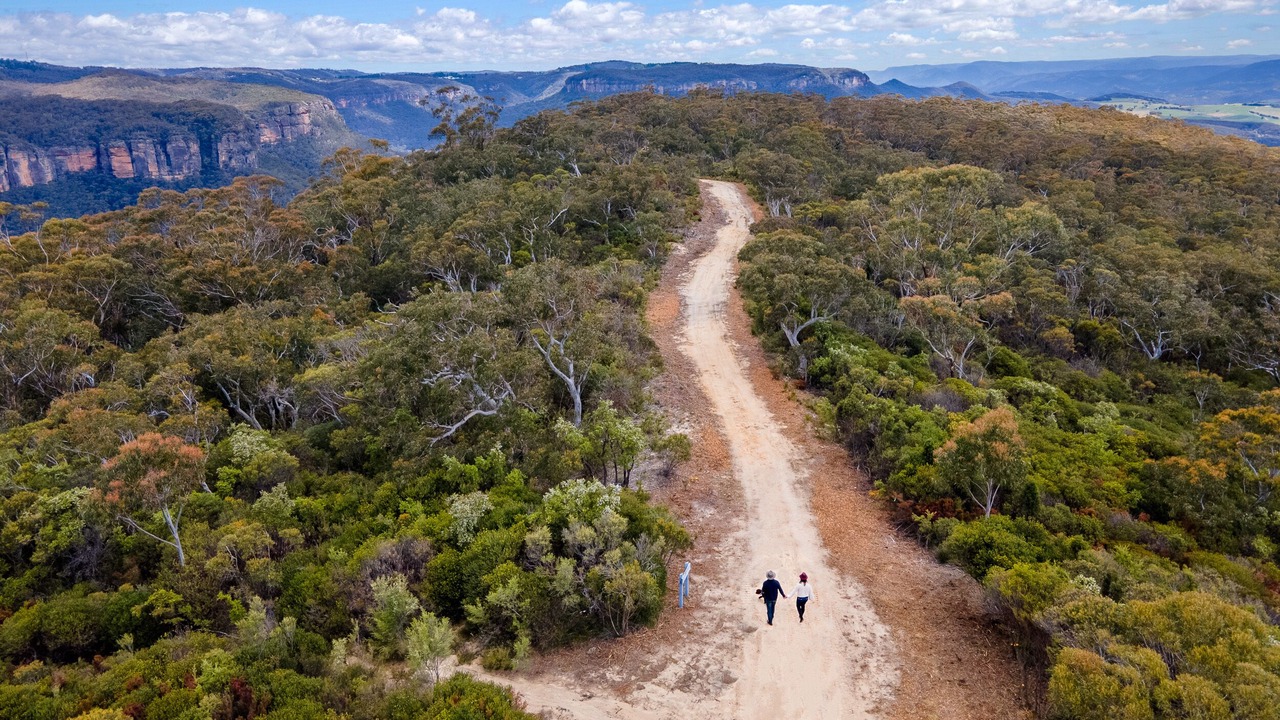 Photo of Others in Mount Victoria