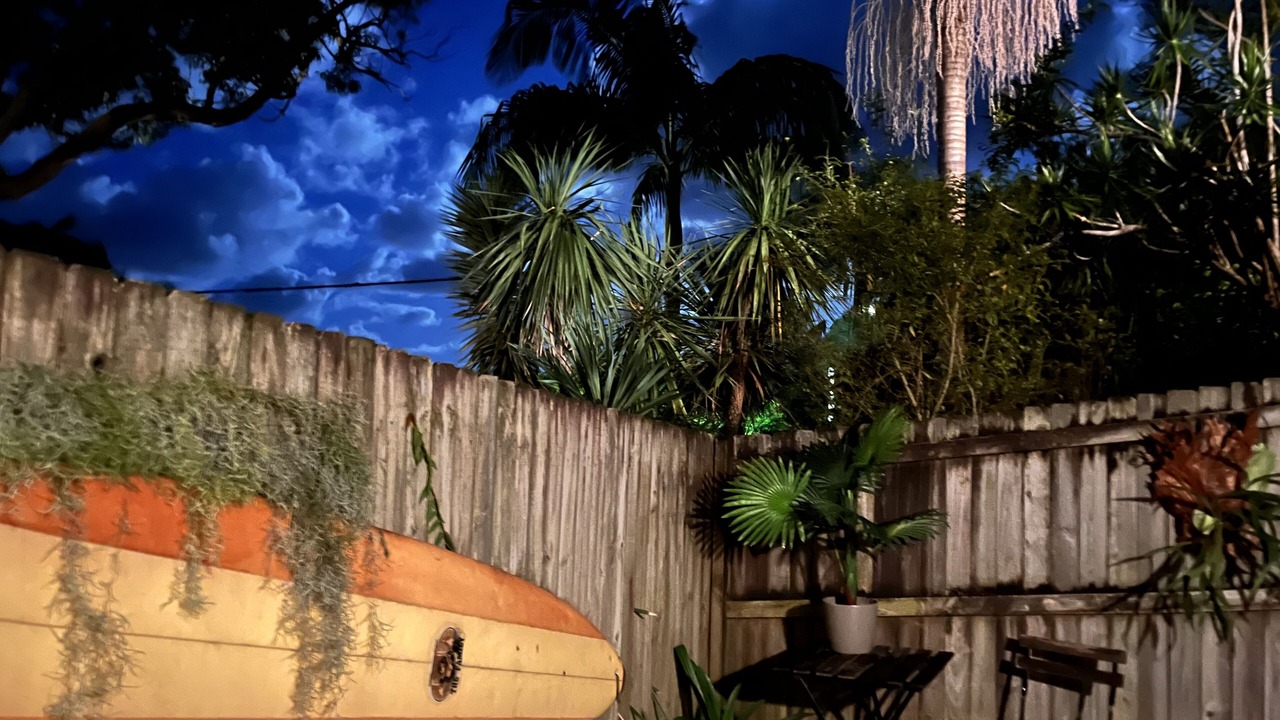 Photo of Outdoor in Avalon Beach