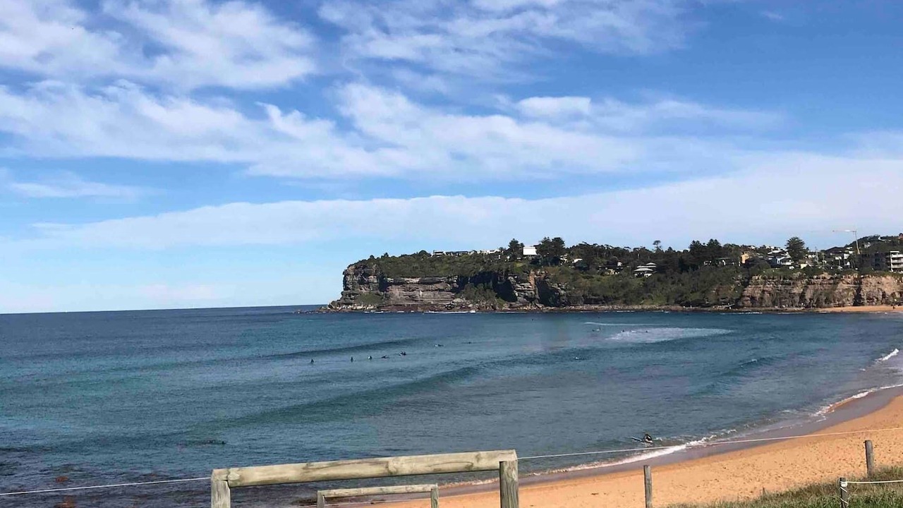 Photo of Others in Avalon Beach